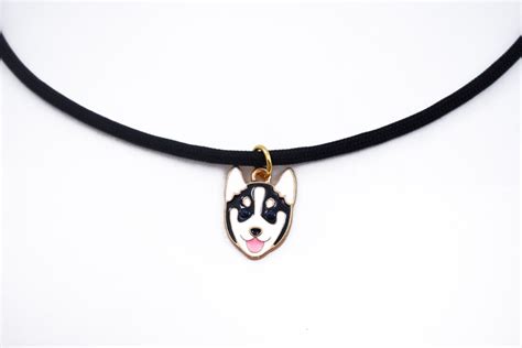 collier husky